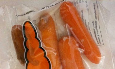 Dag 31 – Morötterna snart i upplösningstillstånd