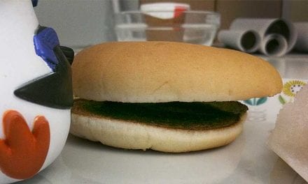 Dag 120 – Mitt Happy Meal fyller sjutton veckor!