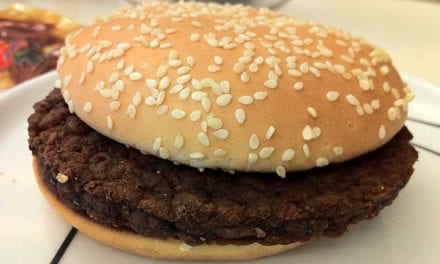 Dag 4 – Hamburgaren har redan krympt