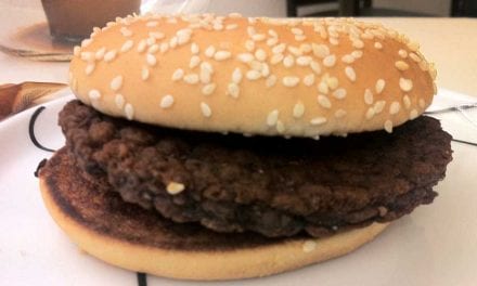 Dag 8 – Min hamburgare fyller en vecka!