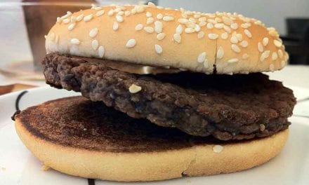 Dag 43 – Sex veckor och fortfarande levande!