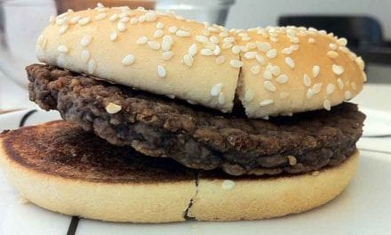 Dag 239 – 34 veckor