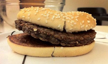 Dag 295 – 42 veckor gammal!