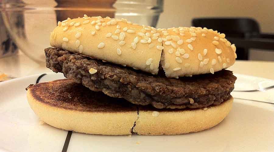 Dag 295 – 42 veckor gammal!