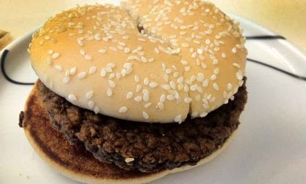 Dag 366 – 1 år gammal!