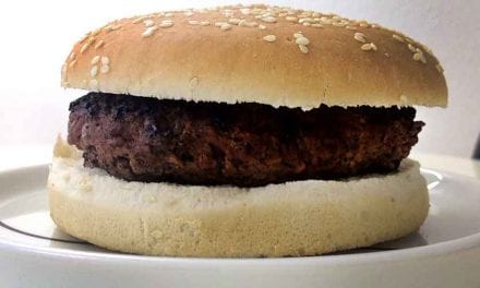 Dag 1. Ny hamburgare på bordet. Hemgjord!