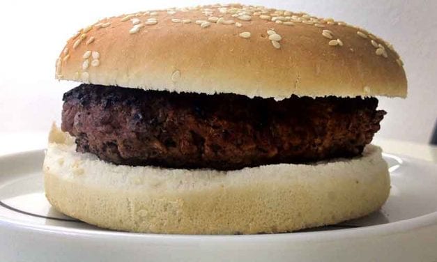 Dag 1. Ny hamburgare på bordet. Hemgjord!