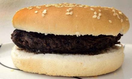 Dag 7. Allt ser bra ut!