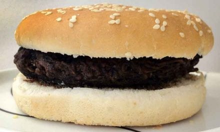 Dag 8. Första veckan avklarad!