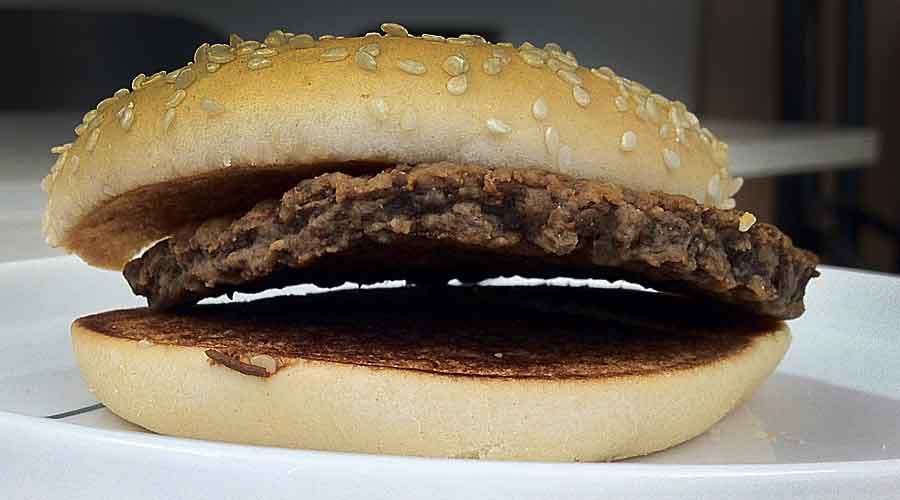 Dag 554. 79 veckor gammal!