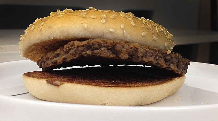 Dag 638. 91 veckor gammal!