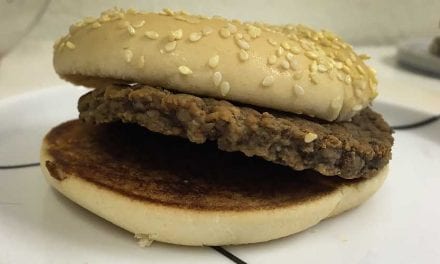 Dag 1522. Min hamburgare har fyllt fyra år!