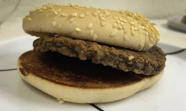 Dag 1522. Min hamburgare har fyllt fyra år!