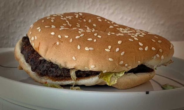 Dag 15. Min Whopper är nu två veckor gammal.