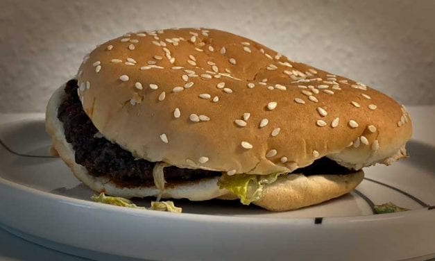 Dag 22. Min Whopper är nu tre veckor gammal.