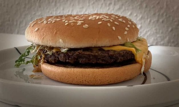 Dag 28. Min McFeast lever och mår bra.