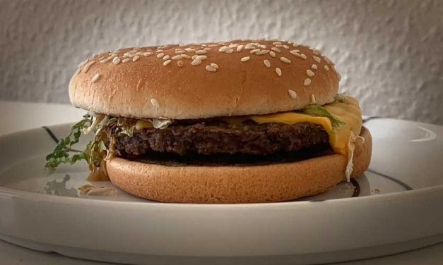 Dag 30. Min McFeast är en månad gammal nu.