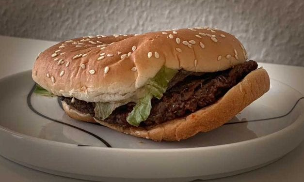 Dag 30. Min Whopper är en månad gammal nu.