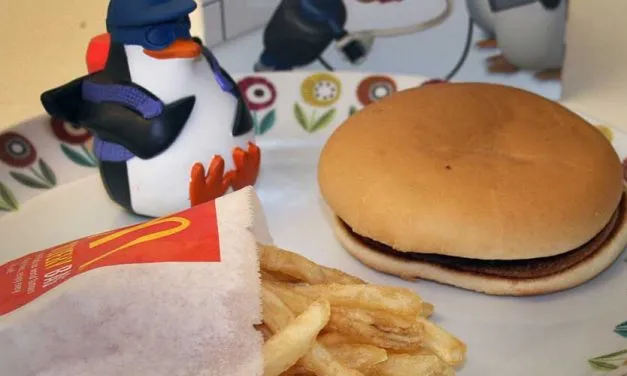 Dag 93 – Mitt Happy Meal fyller tre månader!