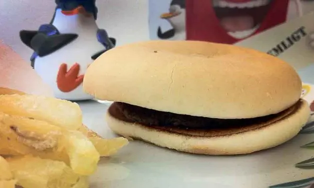 Dag 366 – Mitt Happy Meal fyller ett år!