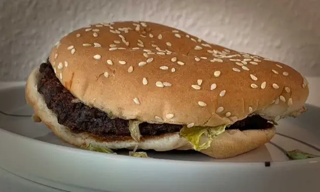 Dag 13. Min Whopper lever och möglar inte ALLS.