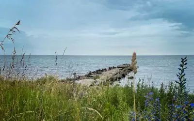 Nu öppnar BeKK sommarutställning med vernissage och workshop!